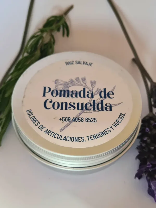 galeriaConsu2 Pomada de Consuelda